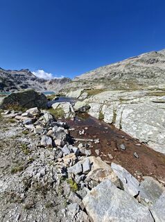 Foto von Mangolein entlang der Tour