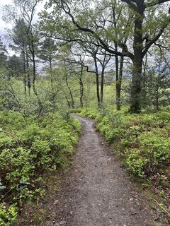 Photo de Maximilian Schranz le long du parcours