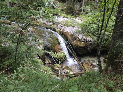Photo de Poschacher le long du parcours