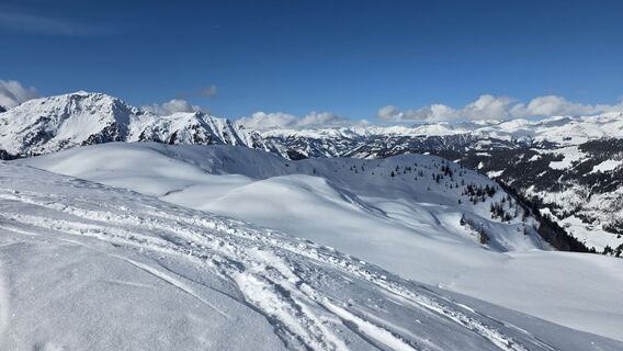 Fotografija s spletne strani meteomodel na poti