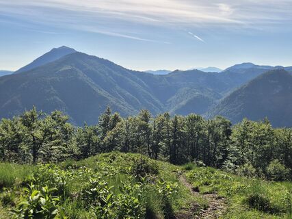 Fotografija s spletne strani josef duermoser na poti