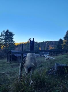 Foto von Tamara Schwarz 2 entlang der Tour