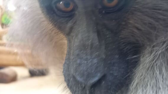 Foto von Schokipapa entlang der Tour