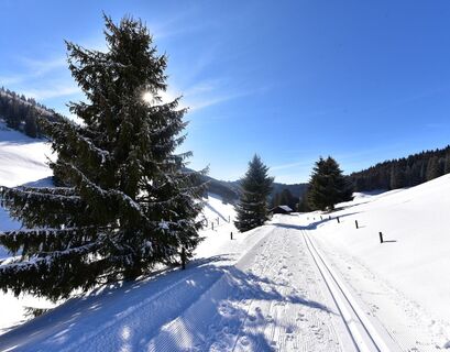 verschneite Wanderwege