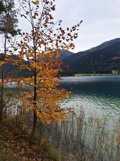 Foto von Dagmar Hofer entlang der Tour