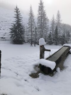 Foto från Robert.Unterlercher under resans gång