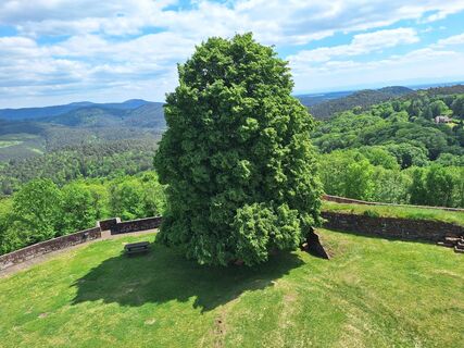 Fotografie z Katharina na trase