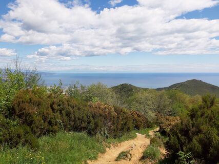 Foto von Luca Dainese entlang der Tour