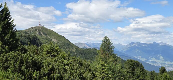 Photo de Alfred Haydn le long du parcours