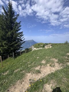 Photo de Marc Weingarth le long du parcours