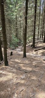 Foto van Andreas Henning langs de tour