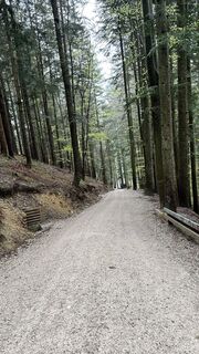 Foto von Peter biro entlang der Tour