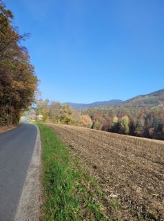 Fotografija s spletne strani Franz Bauer 9 na poti