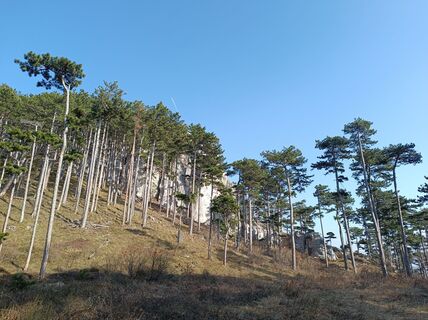 Foto von Bergpirat entlang der Tour