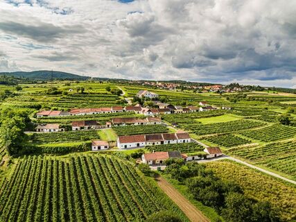 Wald- und Weinweg