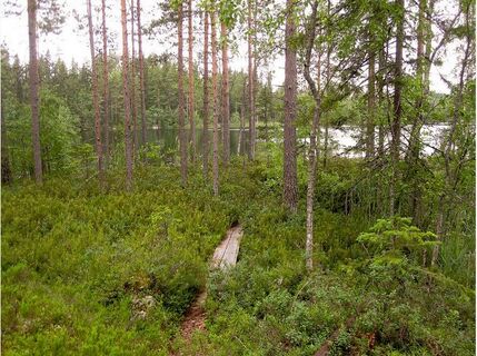 Karhulenkki, Padasjoki