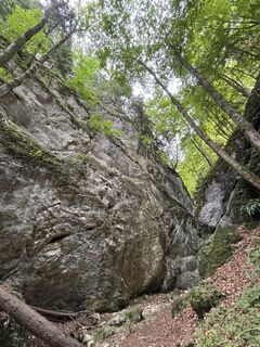 Foto de RS76 a lo largo del recorrido