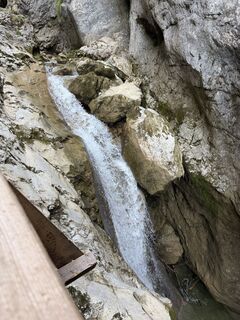 Fotografija s spletne strani Babs Holz na poti