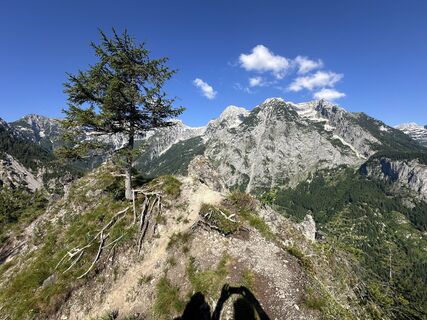 Fotografija s spletne strani Martin na poti