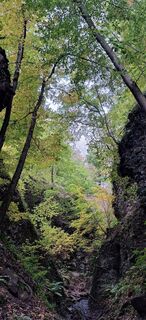 Foto von Beata Beartitude entlang der Tour