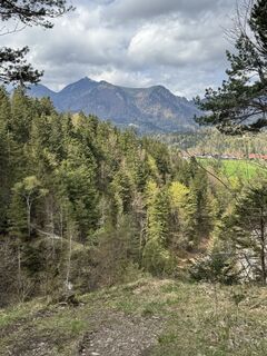Foto von Denise Miller entlang der Tour