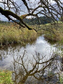 Foto da Schattenkaiser lungo il tour