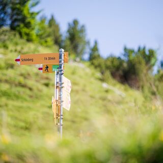 Wegweiser Schönberg