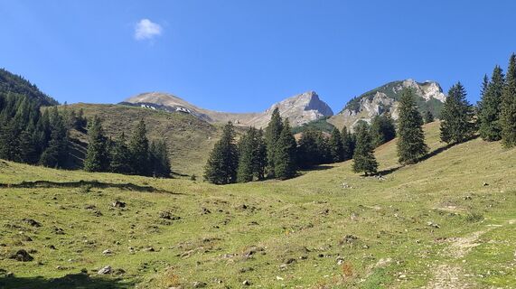 Foto de Ewald Rapp a lo largo del recorrido