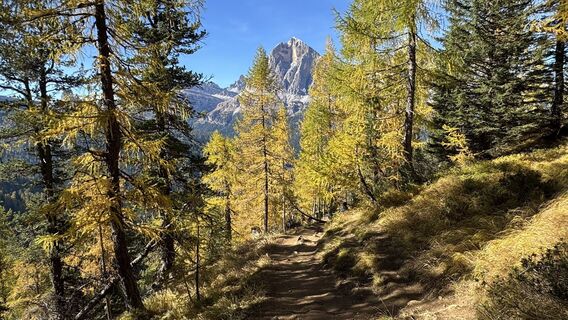 Fotografija s spletne strani ROBERTO BONIOTTI na poti