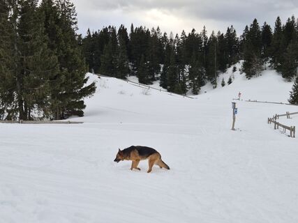 Zdjęcie z Matej Špeh 1 wzdłuż trasy