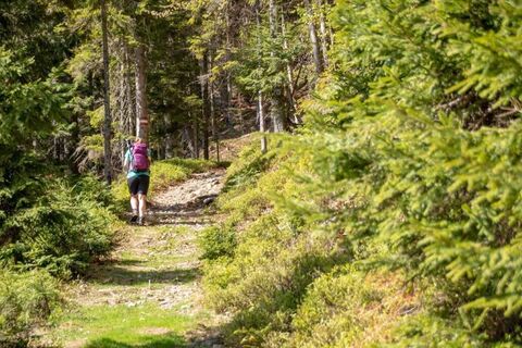 Weg durch den Wald