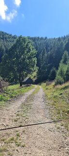 Fotografija s spletne strani Martina Oitzinger na poti