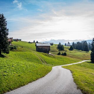 Strasse von Falera Richtung Curnius
