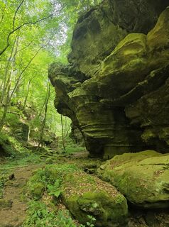 Fotografija s spletne strani Wil van Delft na poti