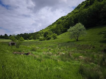 Fotografija s spletne strani Stefano Fabi na poti