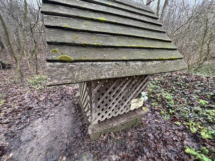 Foto de Róbert Mészáros a lo largo del recorrido