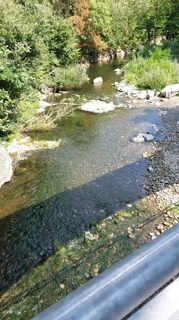 Fotografia z Alois Sachata na trase