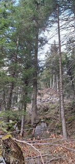 Zdjęcie z Deutsch Margit wzdłuż trasy