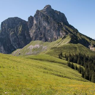 Der Aggenstein im Sommer