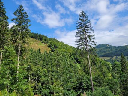 Zdjęcie z Liddeldi wzdłuż trasy
