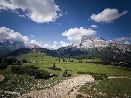 Photo de Berry de haas le long du parcours