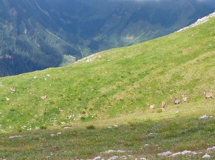 Foto von Johann Krammer entlang der Tour