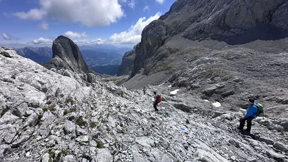 Photo de Mountain Cat ? ⛰️ le long du parcours