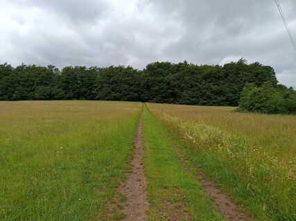 Zdjęcie z Sama71 wzdłuż trasy