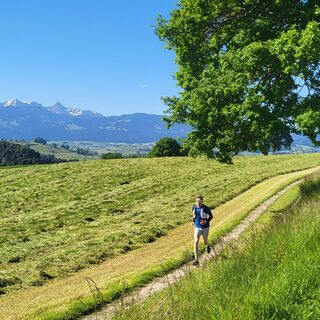 Aussicht - Schluchtenweg Trailrun