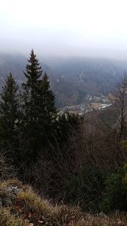 Foto von Melanie Rapperstorfer 1 entlang der Tour