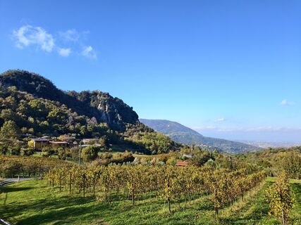 Fotografia z Andrea Treichl na trase