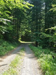 Foto von Sabine Pfeiffer entlang der Tour