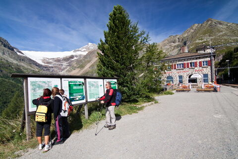 Alp Grüm