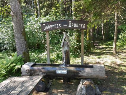 Johannes Brunnen Stainz